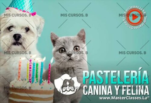 pasteleria canina y felina 652b95f61c7eb - Pastelería Canina y Felina